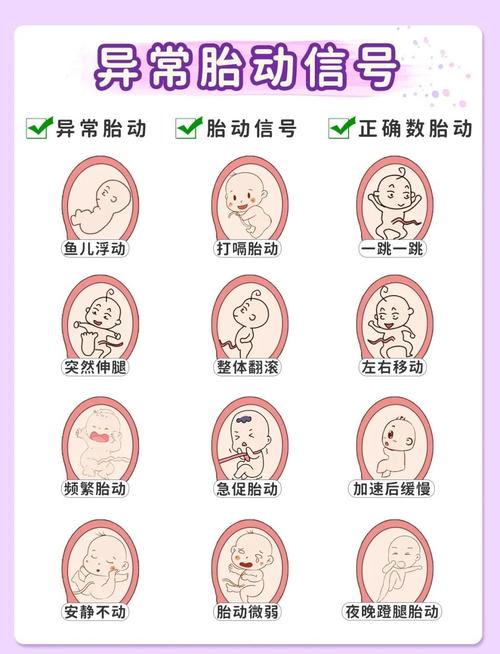 胎动随心记新手入门？6步教程轻松上手安心记录体验！