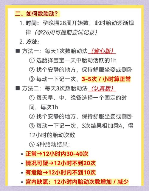胎动随心记新手入门？6步教程轻松上手安心记录体验！