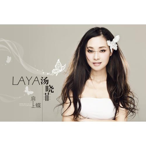 肩上蝶结局是否悲伤？换个角度发现新意义！