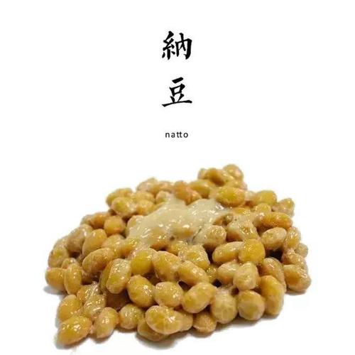 纳豆音乐盒值不值得入手(真实用户体验全面评测)