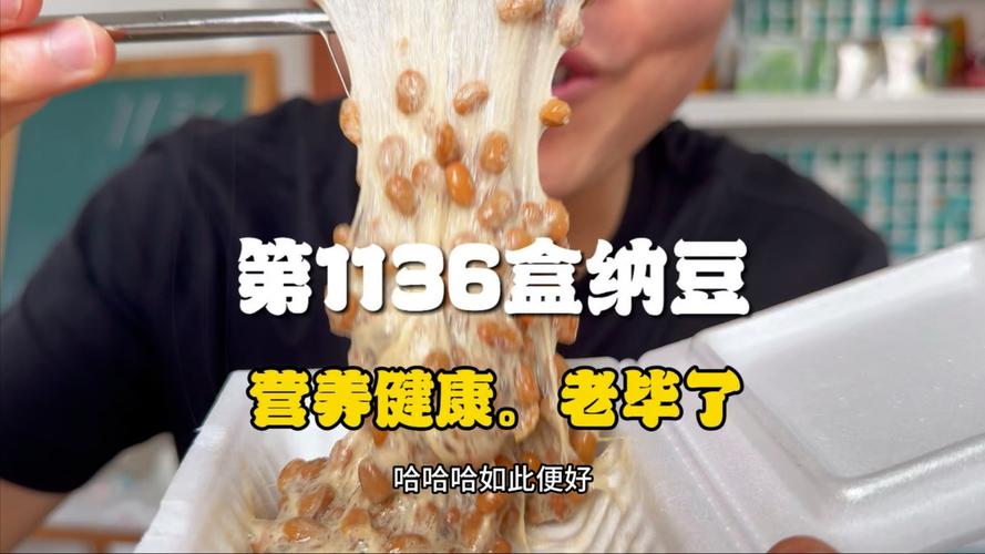 纳豆音乐盒值不值得入手(真实用户体验全面评测)