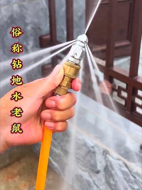 下水道老鼠除治多少钱？真实案例帮您省钱！
