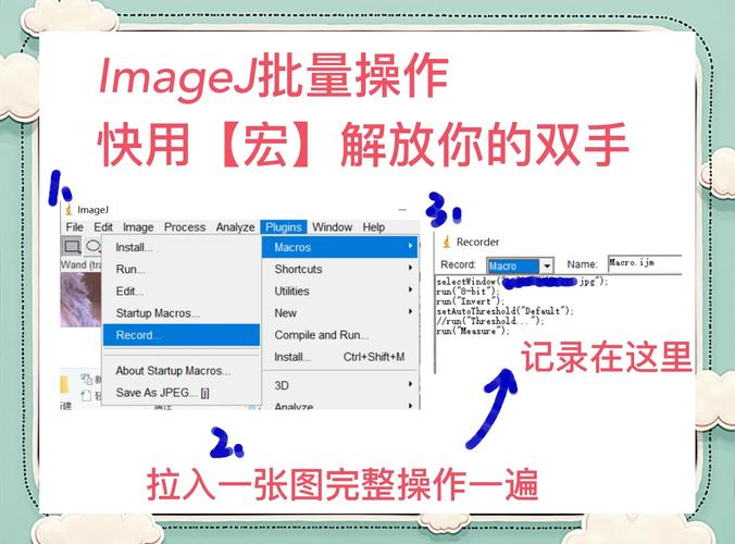 cjq输出宏怎么用？5个步骤轻松掌握关键操作