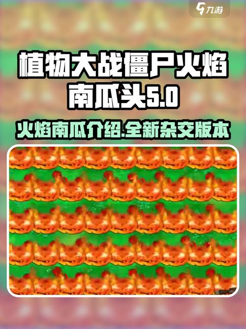 火焰南瓜王哪里有卖？推荐热门购买途径！