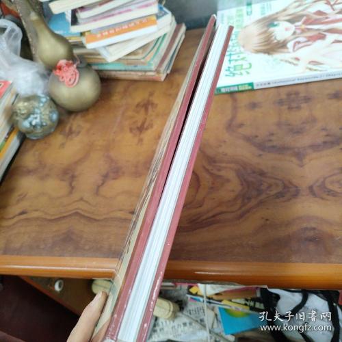 c81同人志有哪些类型？分类解析助你挑到心头好！