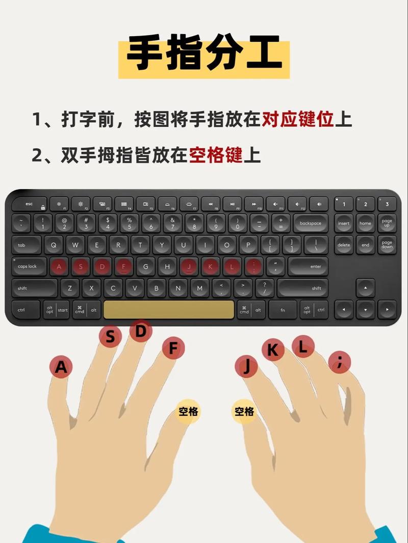 打字高手1入门指南？新手六步快速掌握打字