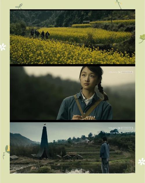 山杂树之恋故事怎么样？感人情节点全解析！