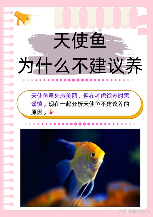 天使小宠物饲养花费高吗？平价养出健康萌宠攻略