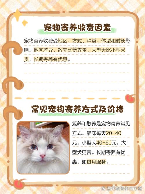天使小宠物饲养花费高吗？平价养出健康萌宠攻略