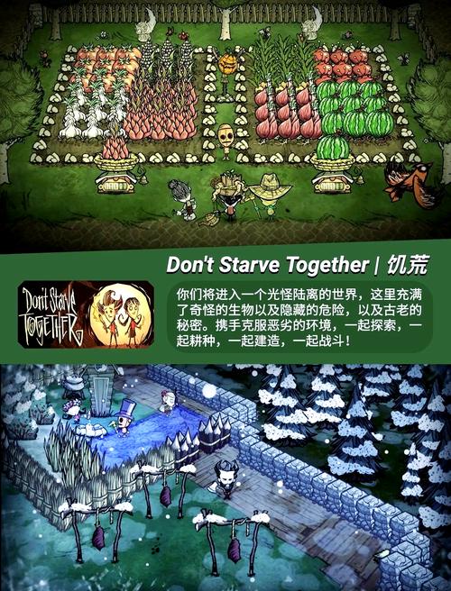 生存之旅联机