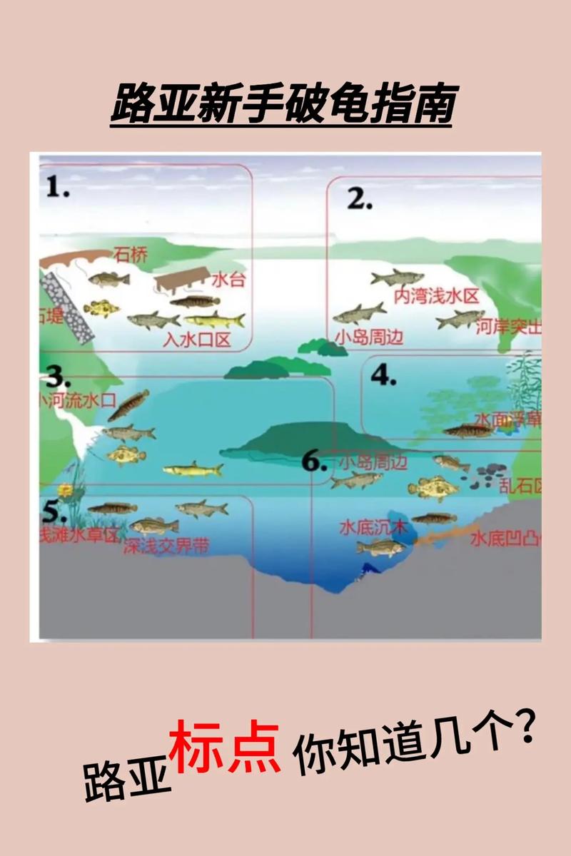 海龟垂钓点位置全揭秘 这5个地方最容易上钩!