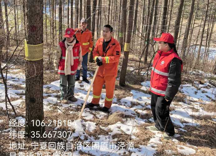 林地守卫者日常工作揭秘！带你看看森林守护者的一天