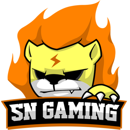 sng战队是什么背景?(快速了解这支电竞强队的故事)