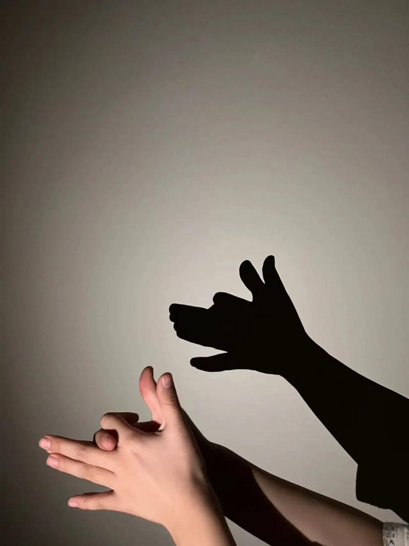 影子在行动怎么样好看吗？(真实评价和观众感受分享)