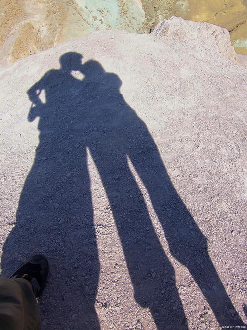 影子在行动怎么样好看吗?(真实评价和观众感受分享)