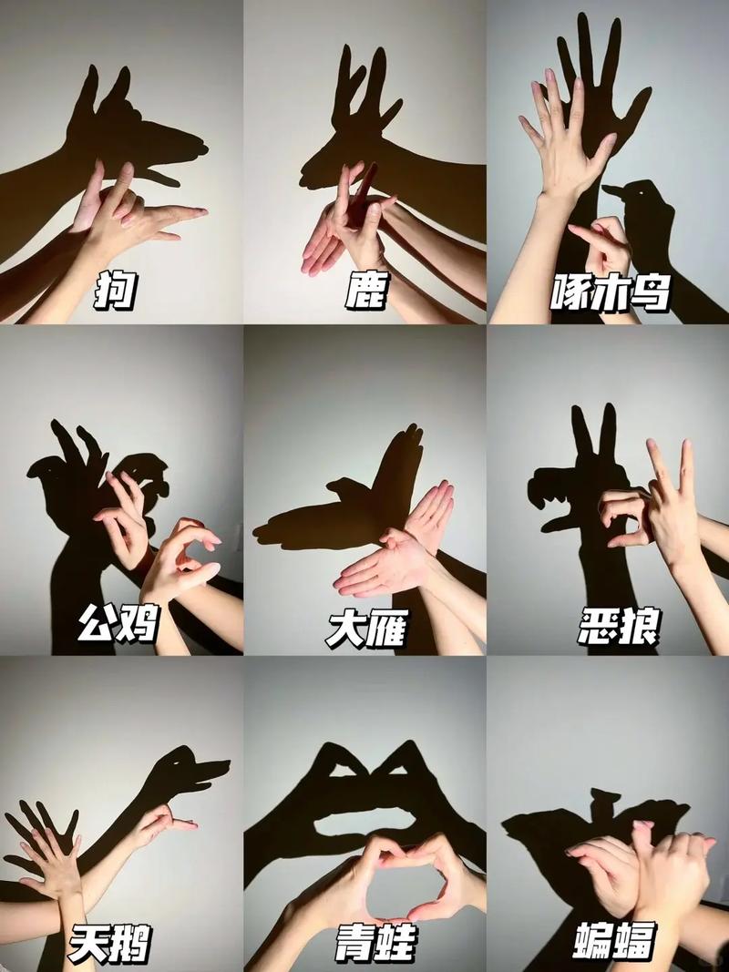 影子在行动怎么样好看吗?(真实评价和观众感受分享)