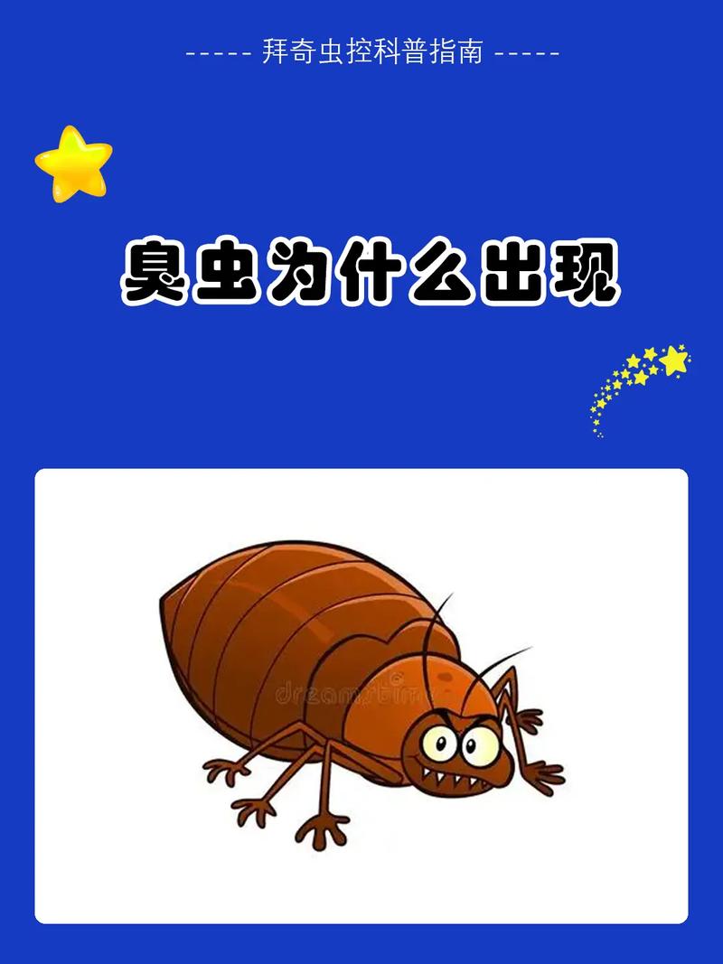 bug虫子出现原因有哪些 这5种情况导致软件频频出错