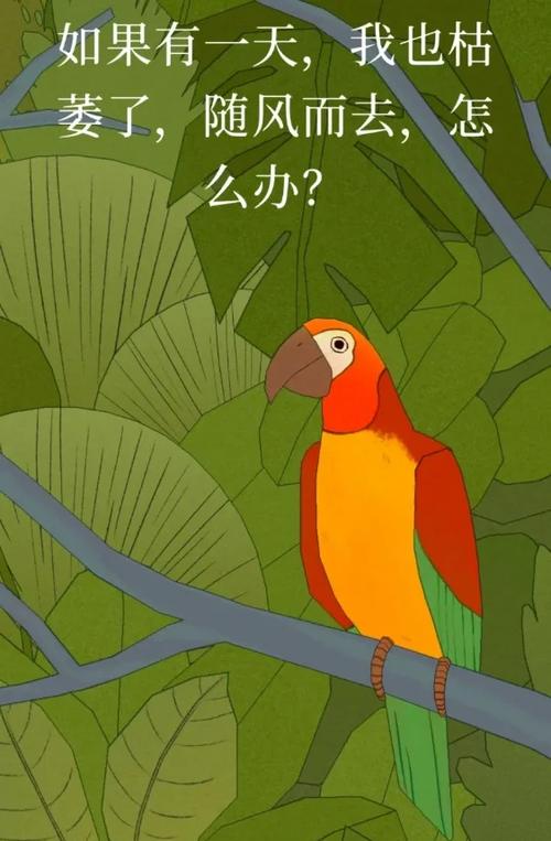 孤独的鸟儿如何照顾？新手必学的4个实用技巧！