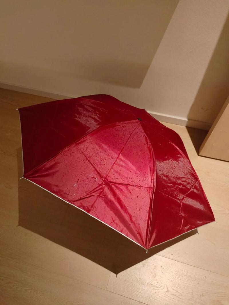 小红伞key哪里买便宜？(安全渠道省钱攻略推荐)