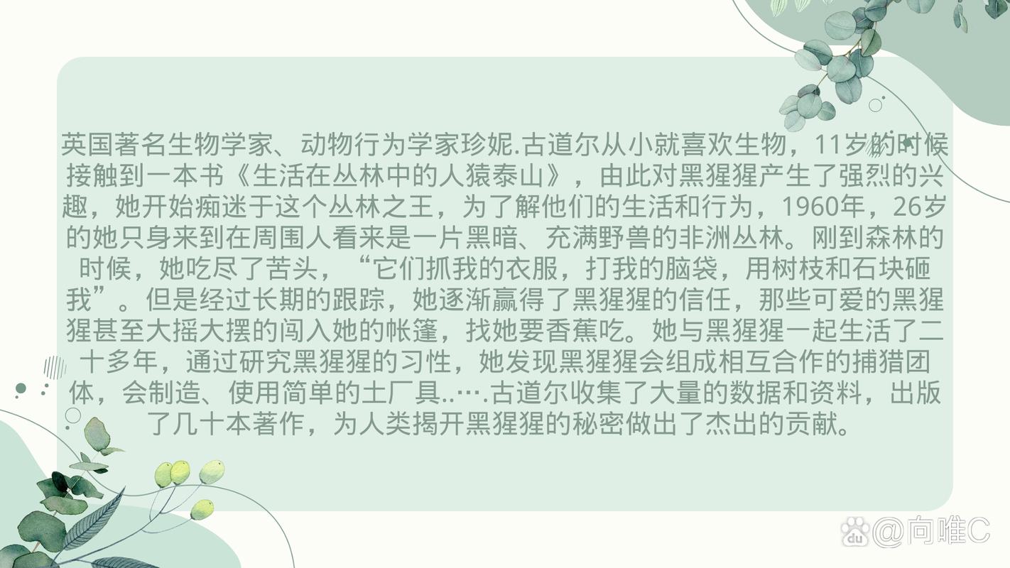 追踪那野兽故事背景是什么？揭秘野兽神秘起源真相！