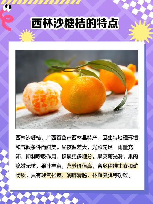 沙糖桔什么梗段子多？这些搞笑案例承包全年笑点