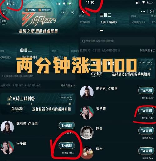 浪姐投票通道怎么参与(简单三步轻松完成投票)