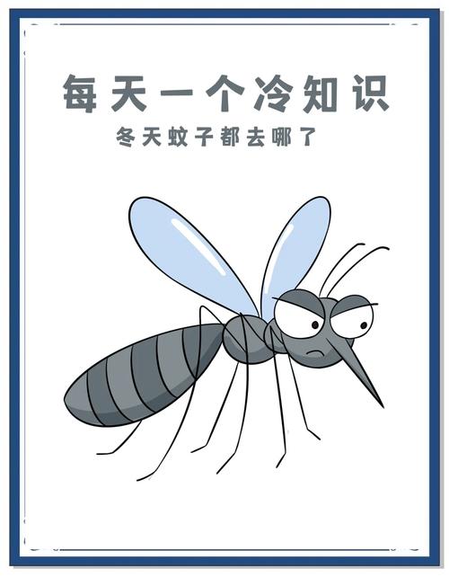 蚊子会冬眠吗？揭秘它冬天藏身何处竟然冻不死