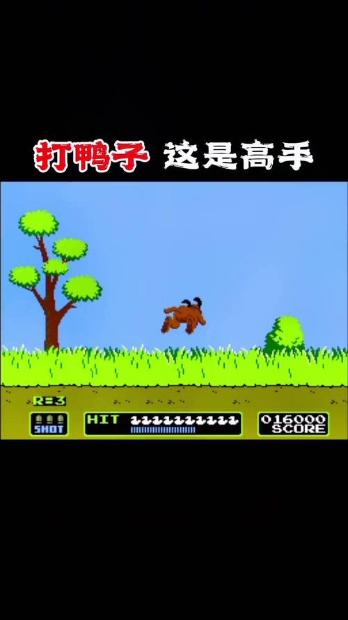 疯狂打鸭子常见问题？(解决所有疑难技巧问答)