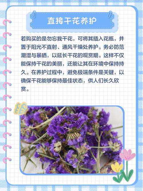 勿忘我攻略内容有啥？完整盘点超详细解析！