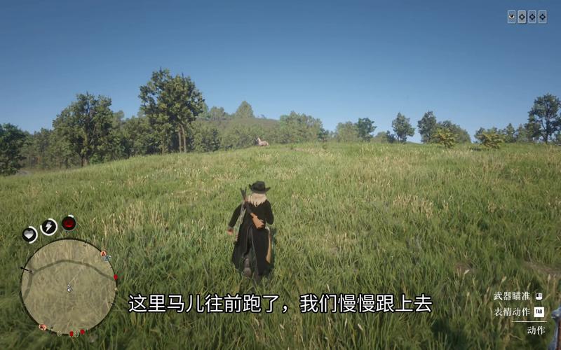 荒野大嫖客线上模式技巧:多人玩法秘诀大公开!