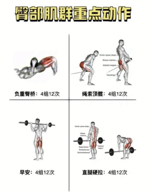 进击的巨尻玩法攻略：简单三步快速掌握精髓！