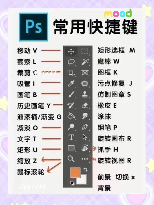 ps cc入门教程哪里有？新手必学5大基础技巧