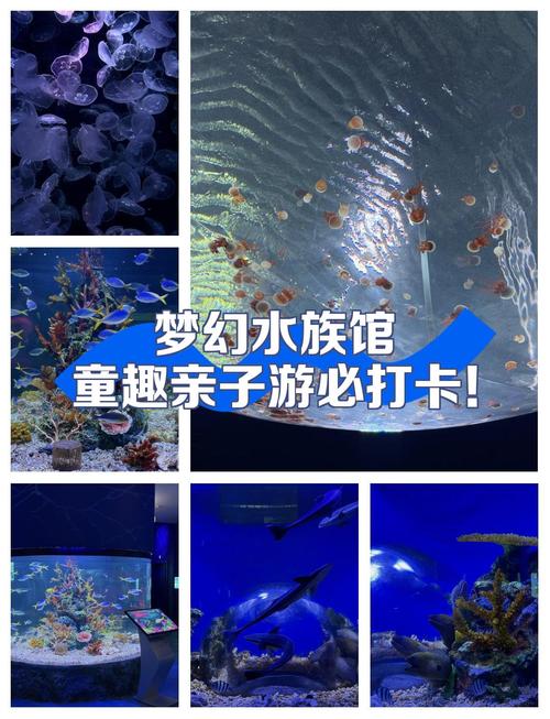 梦幻水族馆最佳游玩时间是几点避开人潮这样安排