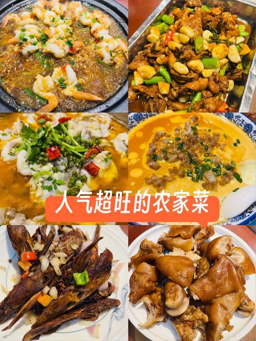 轻策农家菜哪里最好吃？这5家地道店铺必须尝尝