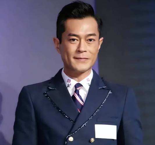 少龙的回忆好看吗看看如何？真实评价大揭秘！