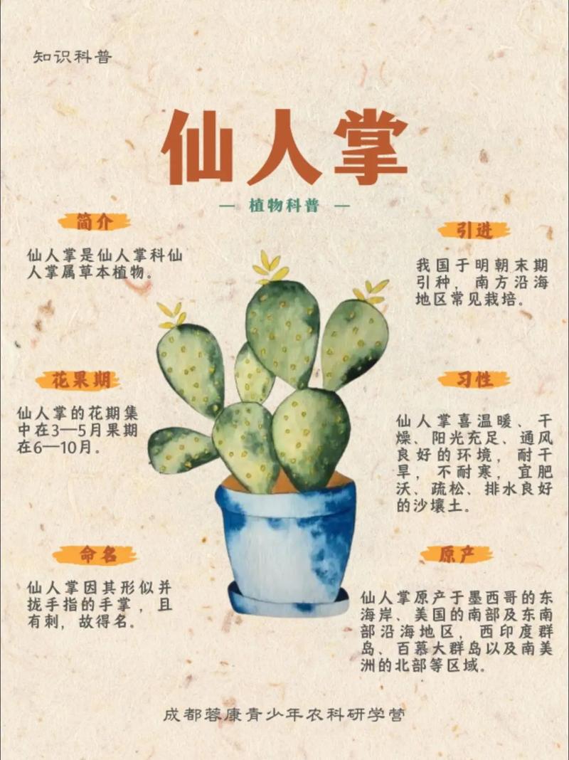 仙人掌搜索引擎好用吗？3分钟教你轻松上手新技巧