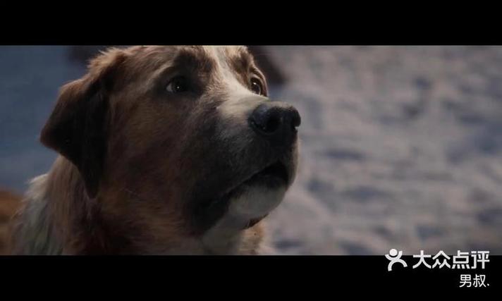 巴拉克的野心背后藏着什么？三个关键推动因素解析！