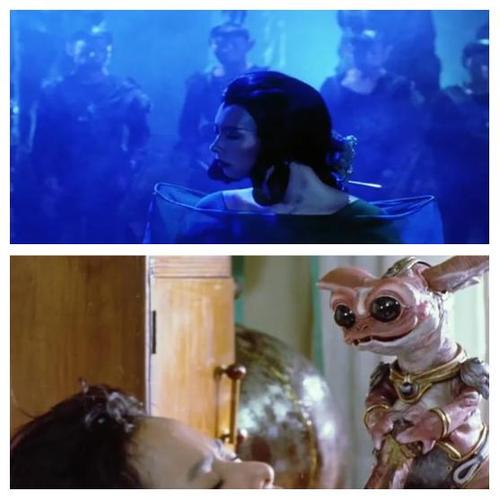 孔雀王子2哪里能看?(热门平台全推荐)