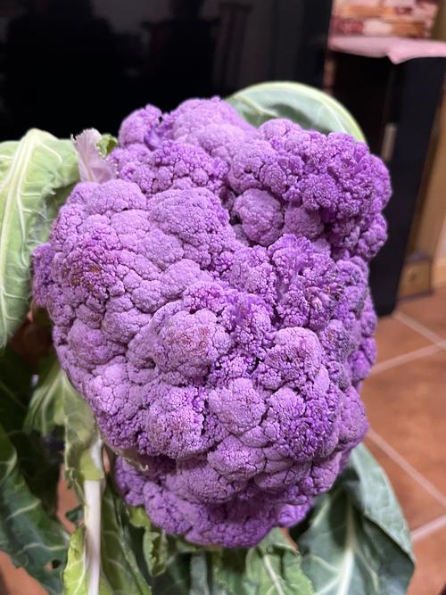 清炒紫色花菜时新手怎么做？手把手教你简单步骤！