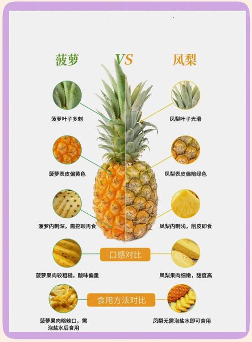 凤梨是菠萝吗？购买指南别再买错了！