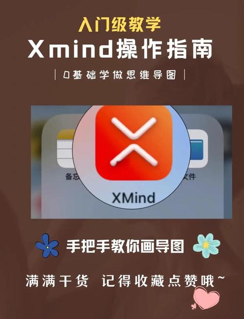 xmedia怎么做有效果（实战派分享避坑经验）