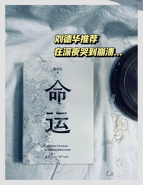命运 电视剧哪里能看？官方平台追剧攻略！