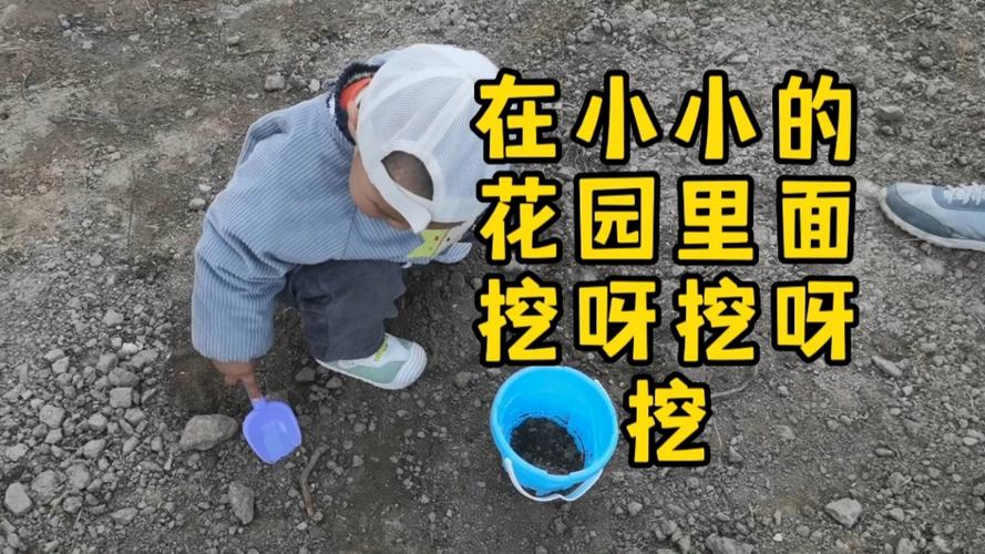 小小花园挖呀挖有什么好处？(亲子互动乐趣多快试试看)