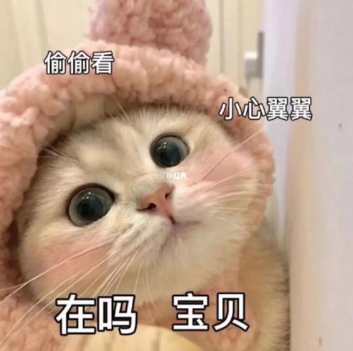 在吗是什么梗为啥这么火？看完这些场景你就懂了