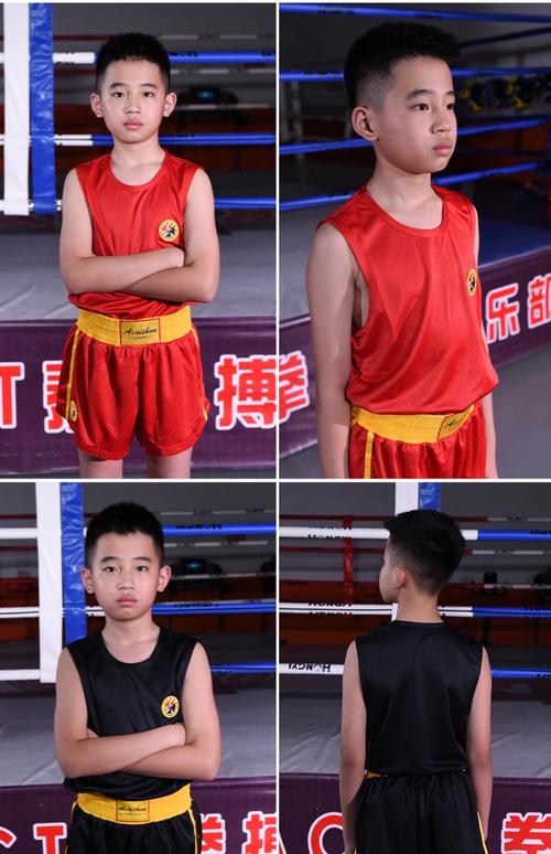 散打穿什么甲性价比最高?5款热门护具测评快速选!