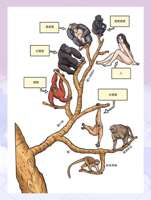 与上古生物交流为什么重要？揭秘这些独特价值！