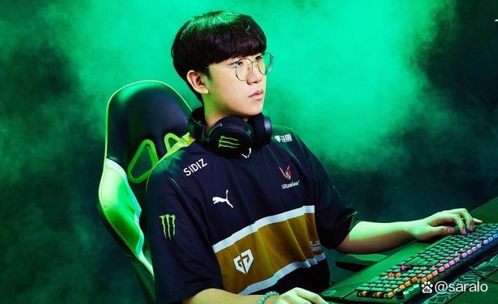 RULER选手常见问题解决？答案分享一步搞定！