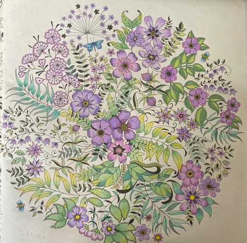 秘密花园涂色书哪个牌子好？推荐这几本热销减压神器