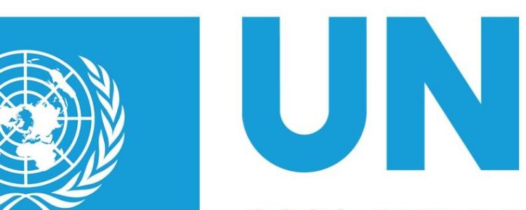 proun是什么？新手快速上手指南大揭秘。