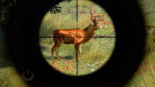 坎贝拉野外冒险新手入门？(简单步骤快速掌握技巧！)